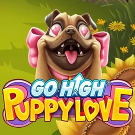 game logo by RubyPlay on spinjocasino.se